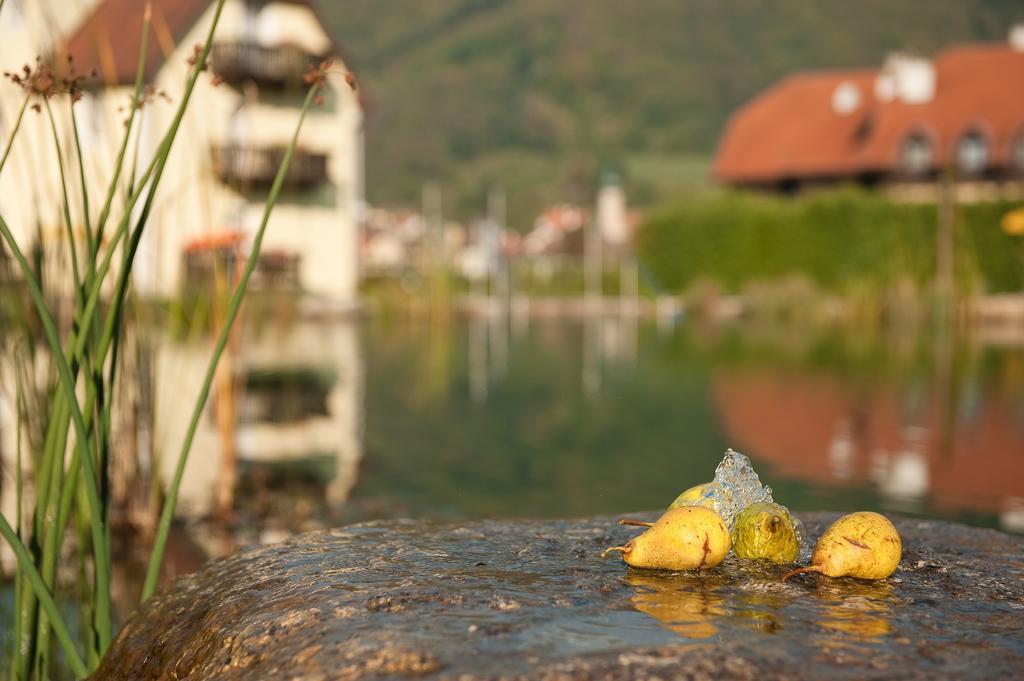 Romantikhotel Residenz Wachau Aggsbach 외부 사진